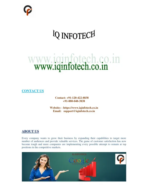 IQ Infotech IT Service Provider Company