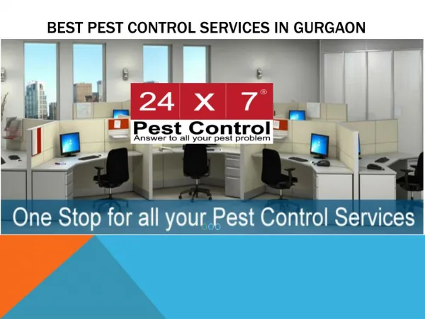 Best Pest Control Services in Gurgaon