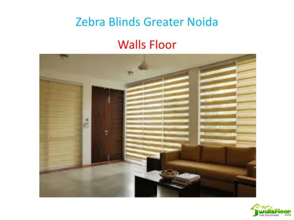 Zebra Blinds Greater Noida