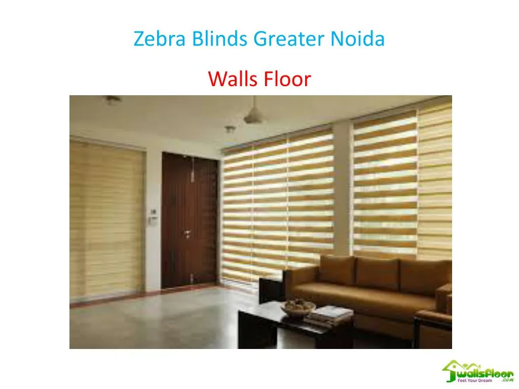 zebra blinds greater noida