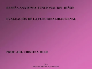 DRA. MIER,BIOQU MICA,EUTM,2006 - slide 1