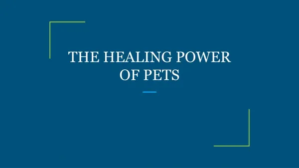 THE HEALING POWER OF PETS
