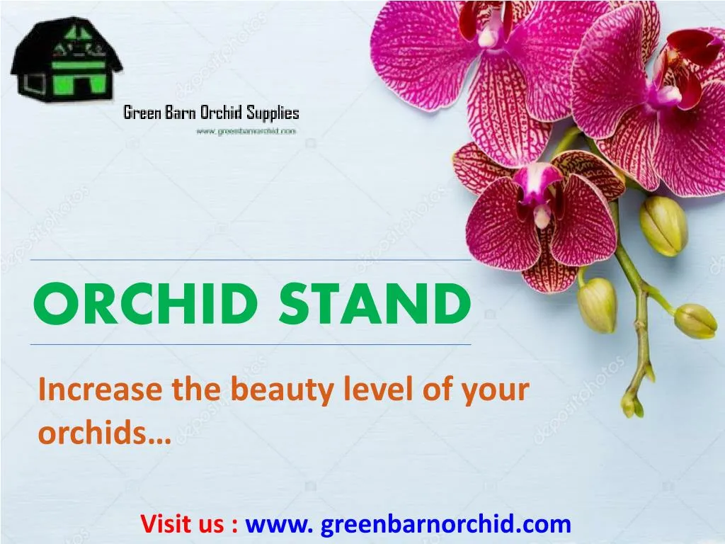 orchid stand