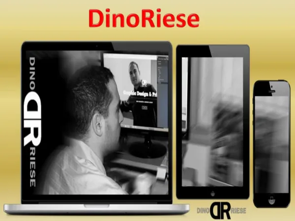 Best Website Development Company in New York|Dino Riese