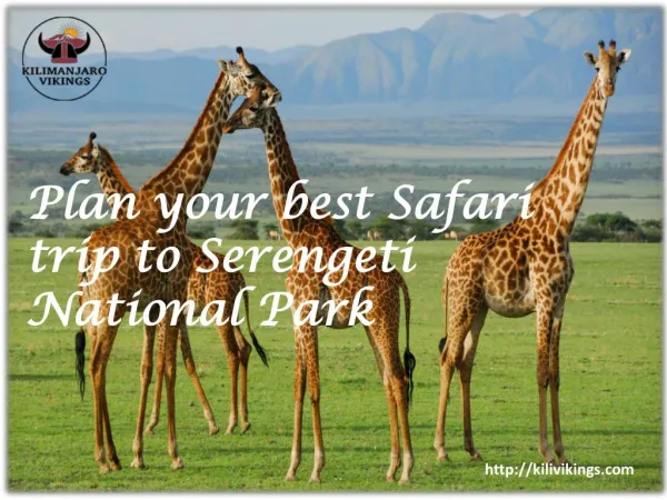 Plan your best Safari trip to Serengeti National Park.pptx