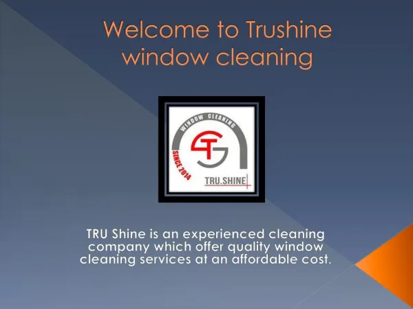 Trushinewindowcleaning.com Offers Quality Window Cleaning Services in Houston