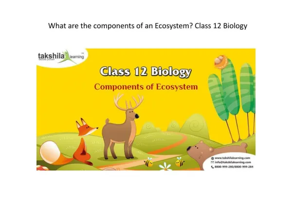 What are the components of an Ecosystem? Class 12 Biology