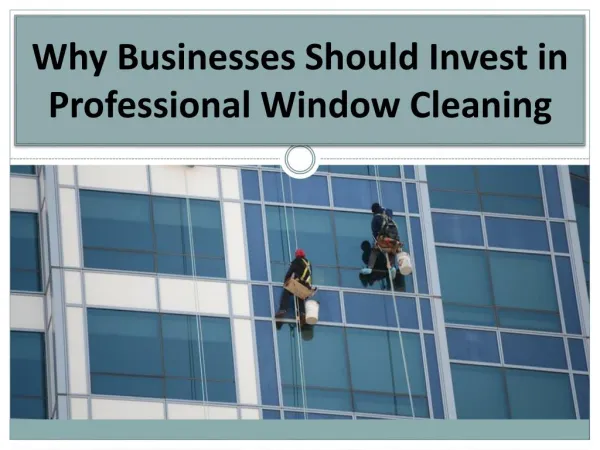 Why Businesses Should Invest in Professional Window Cleaning