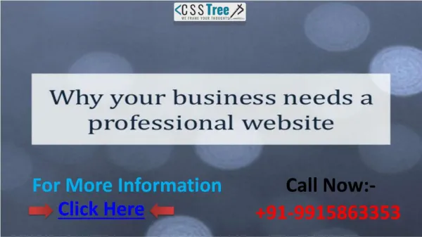 Why Business Needs A Professional Website