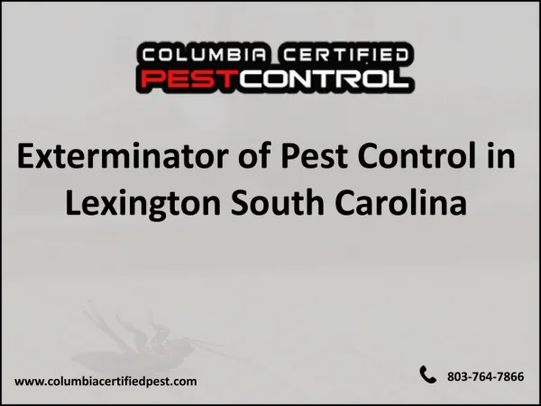 Professional Exterminator of Pest Control in Lexington SC