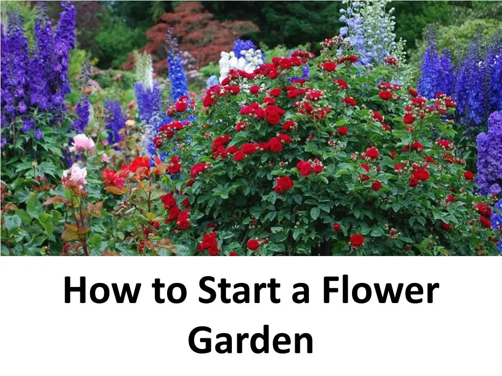 how to start a flower garden