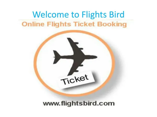 Flights From Newark (EWR) to Punta Cana (PUJ) Flights