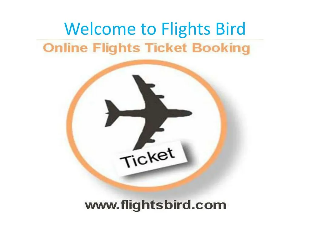 welcome to flights bird