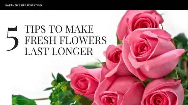 5 Tips To Make Fresh Flowers Last Longer