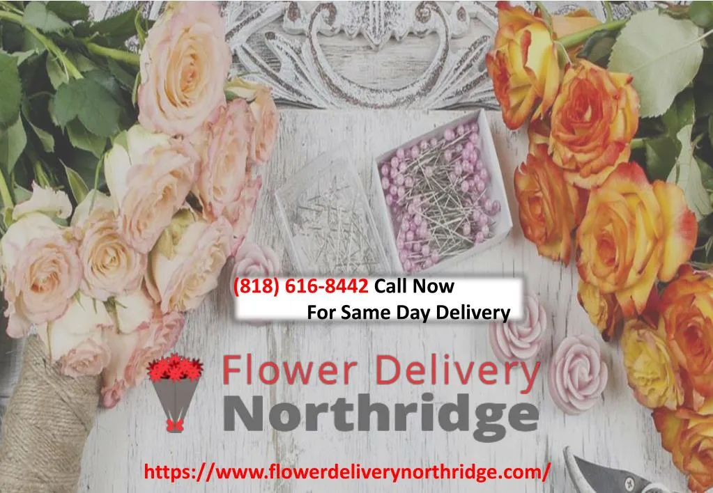 818 616 8442 call now for same day delivery