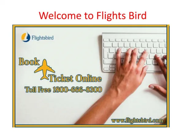Book You Direct Flights From Chicago (MDW) To Salt Lake City (SLC) With flightsbird.com