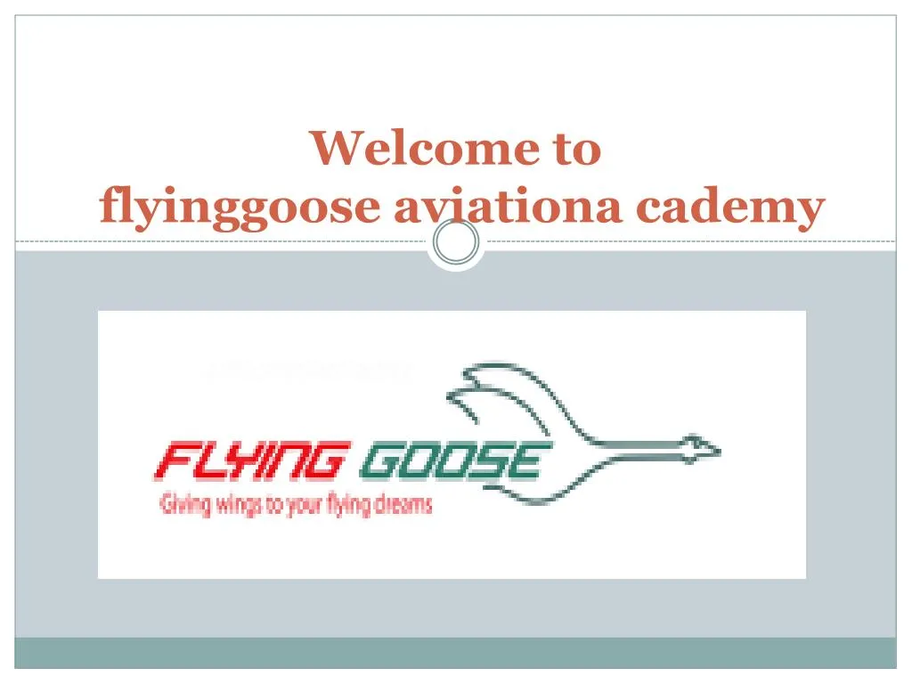 welcome to flyinggoose aviationa cademy