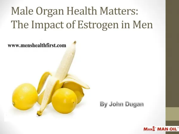Male Organ Health Matters: The Impact of Estrogen in Men