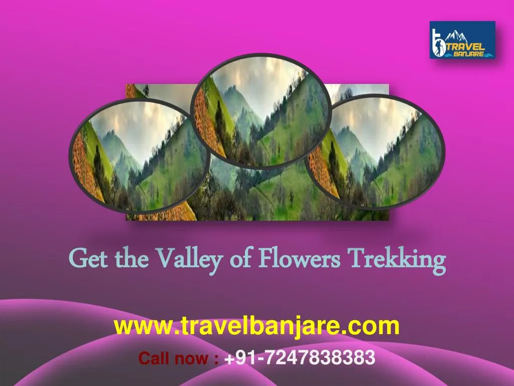 get the valley of flowers trekking