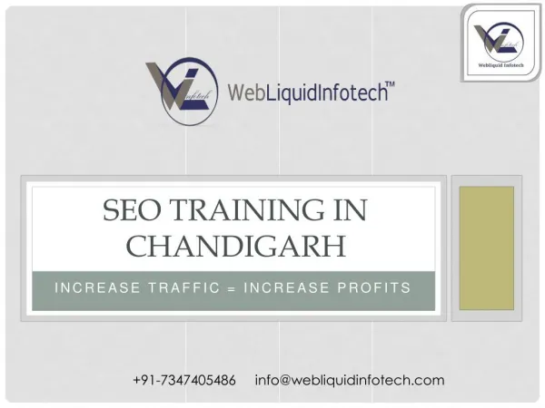 SEO Training in Chadnigarh