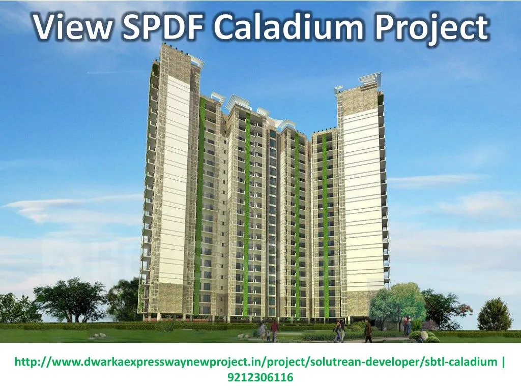 view spdf caladium project
