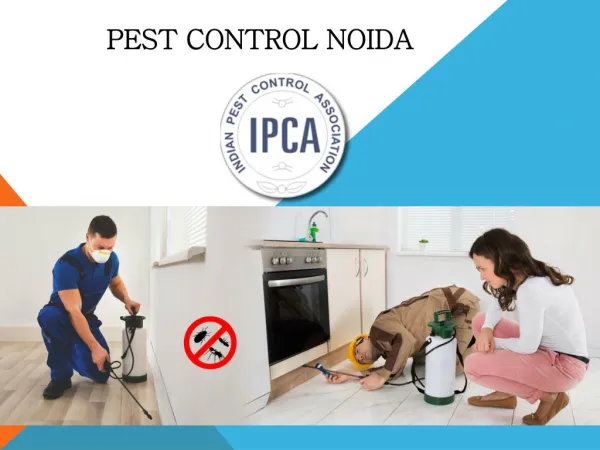 Pest Control Noida