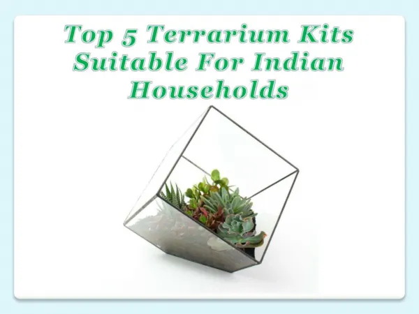Top 5 Terrarium Kits Suitable For Indian Households