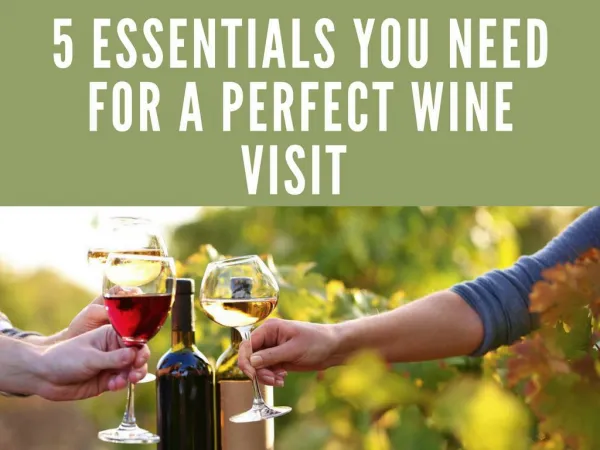 5 Essentials You Need for a Perfect Wine Visit