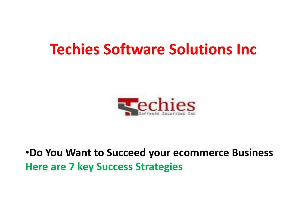 techies software solutions inc