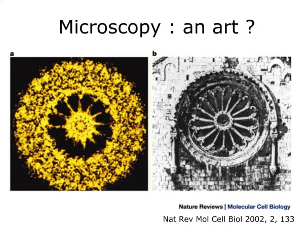 Microscopy : an art