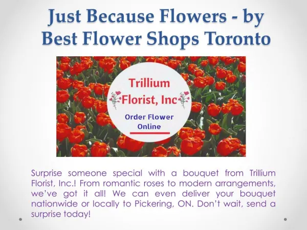 Just Because Flowers - by Best Flower Shops Toronto