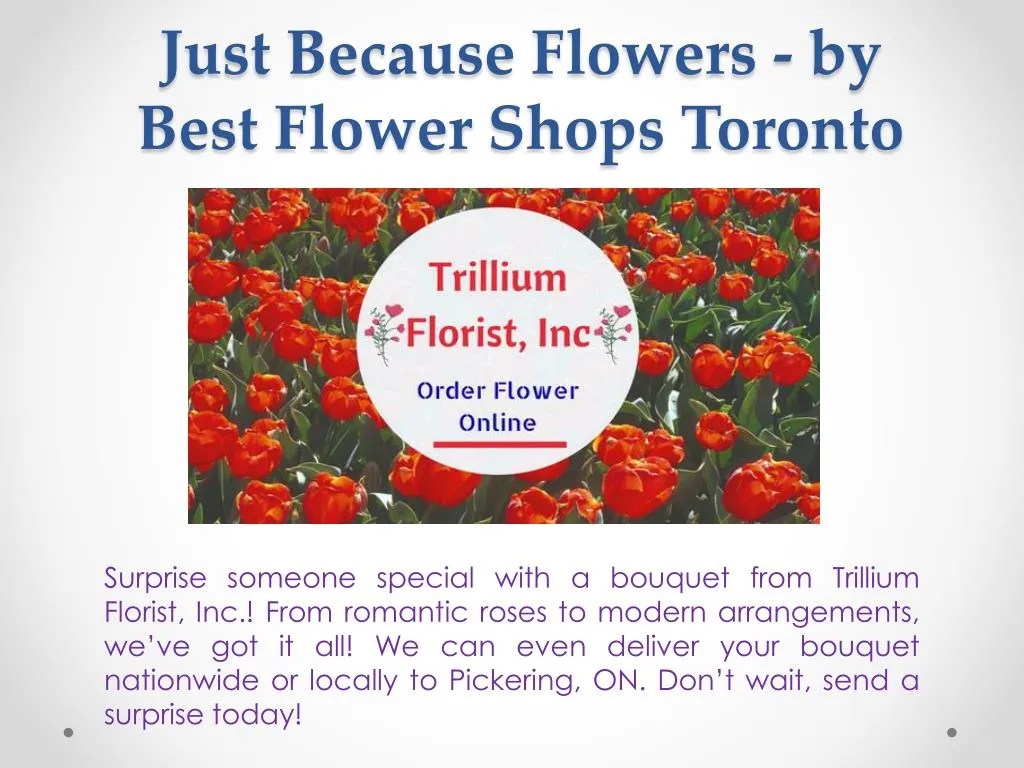 just because flowers by best flower shops toronto