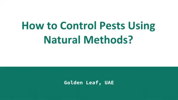 Best Pest Control in Dubai | Golden Leaf
