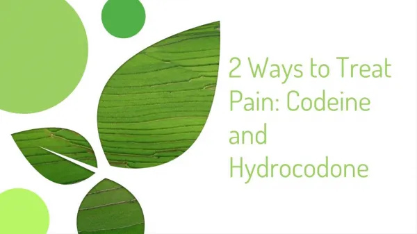 2 Ways to Treat Pain: Codeine and Hydrocodone
