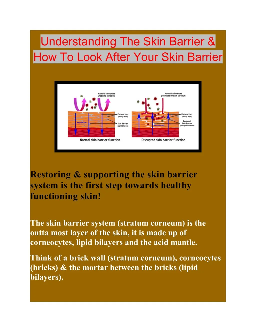 understanding the skin barrier how to look after