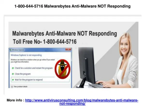 Malwarebytes crashes during scan windows 7