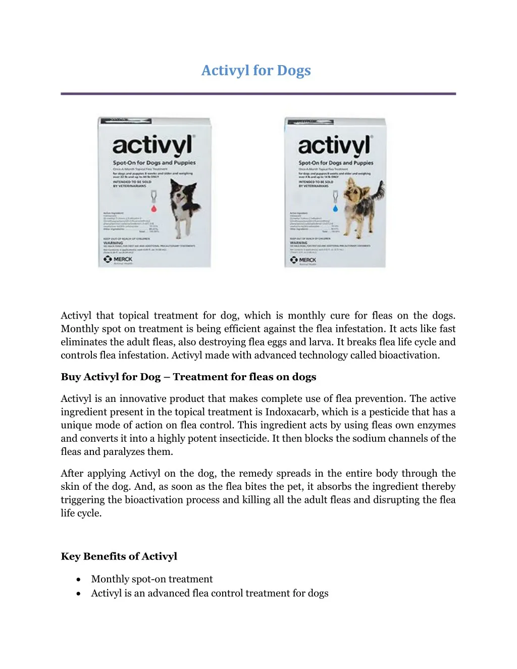 activyl for dogs