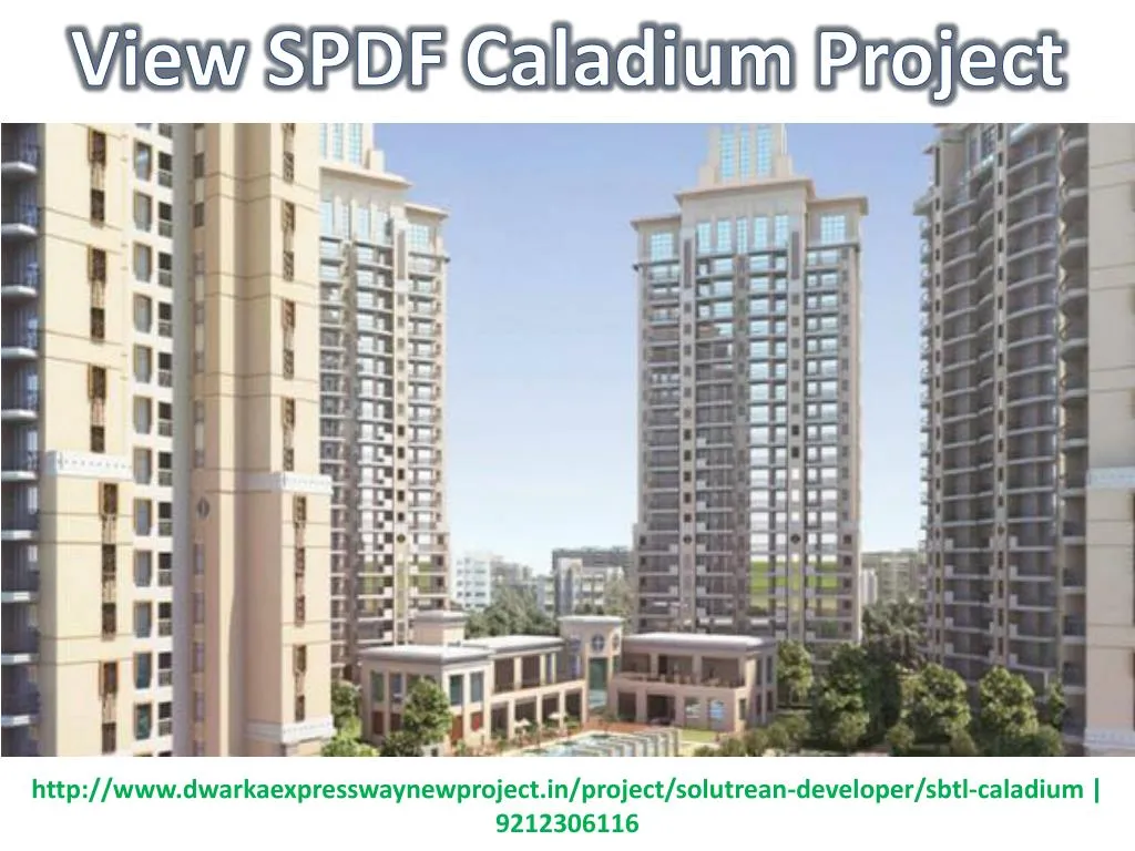 view spdf caladium project