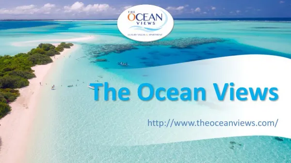 The Ocean Views - Investment Options