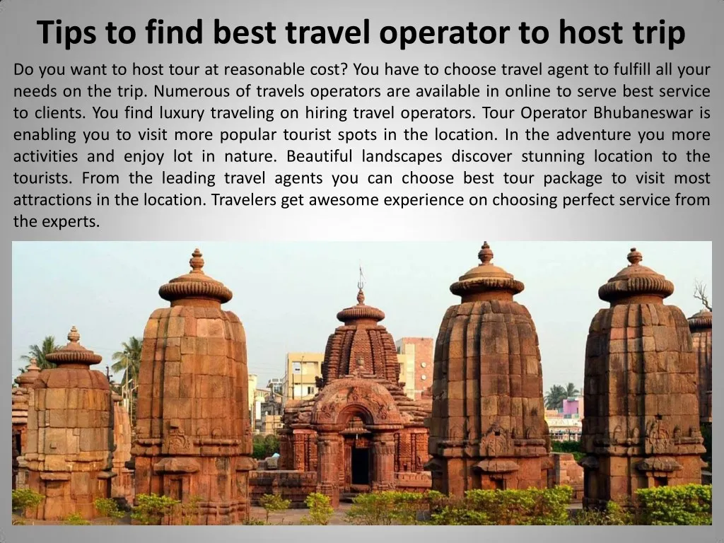 tips to find best travel operator to host trip