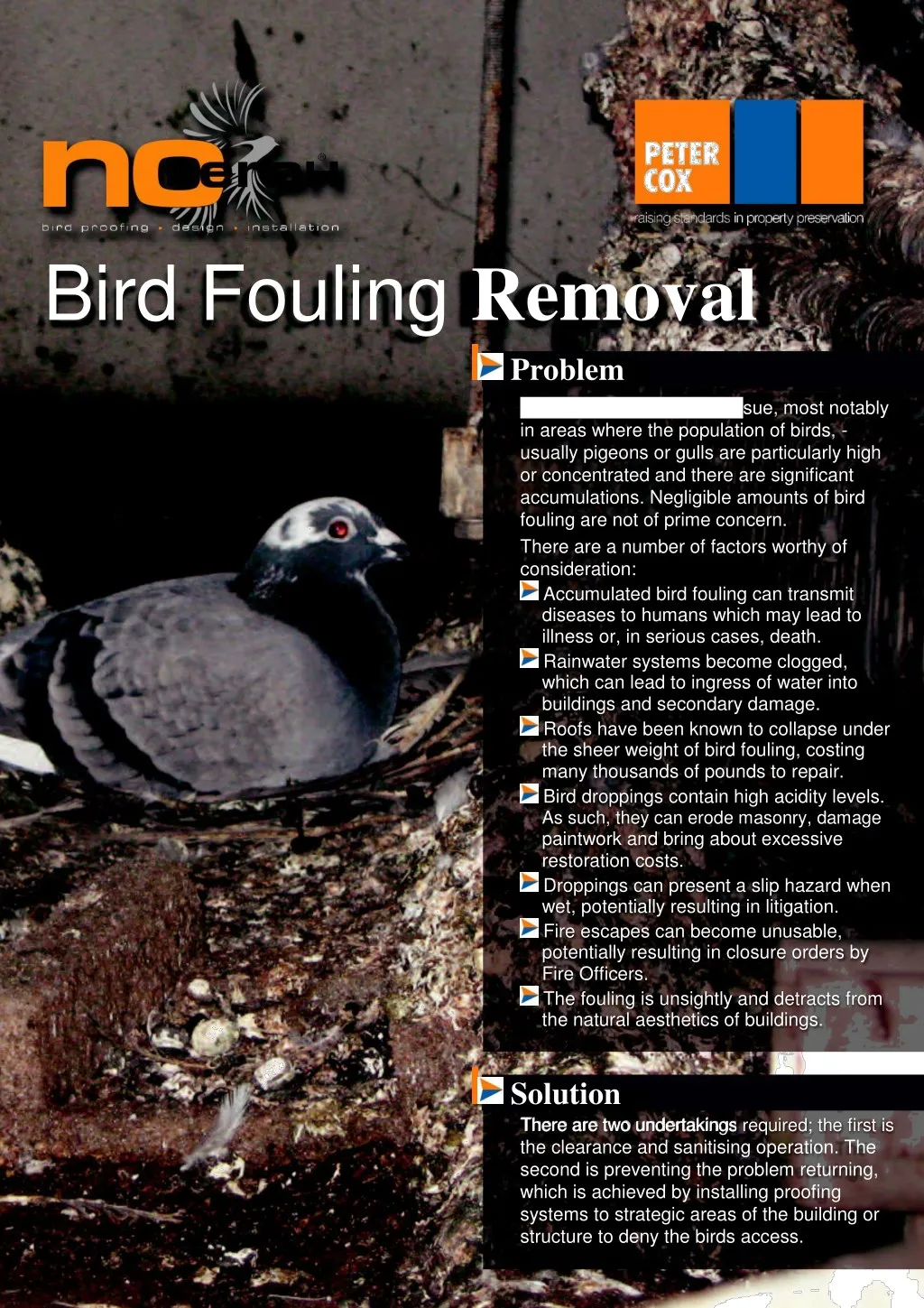 bird fouling removal