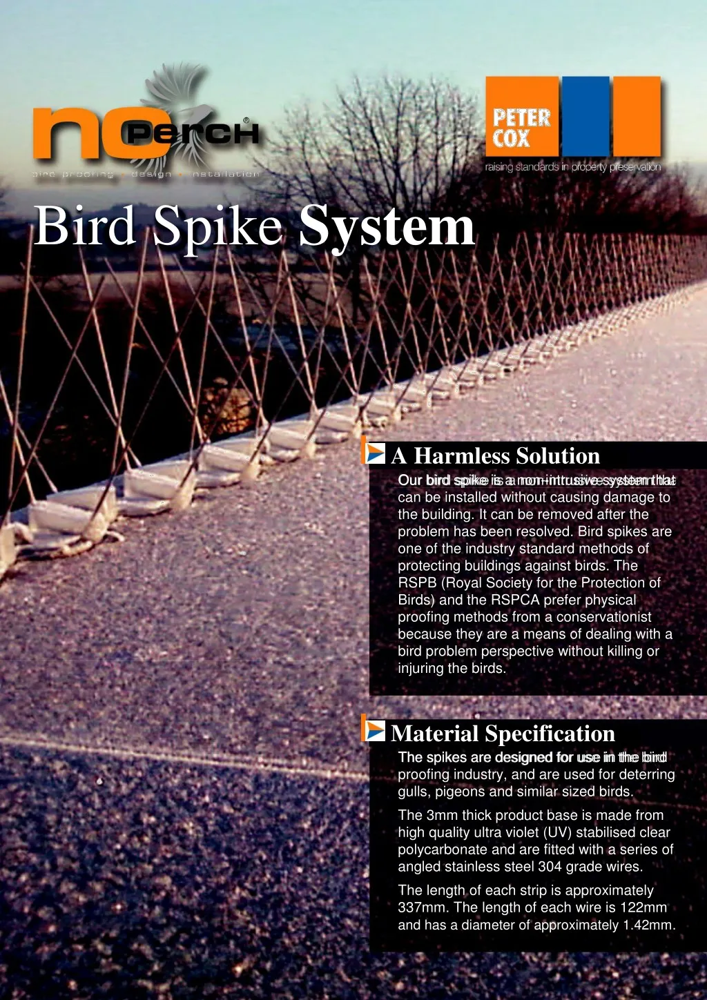 bird spike system