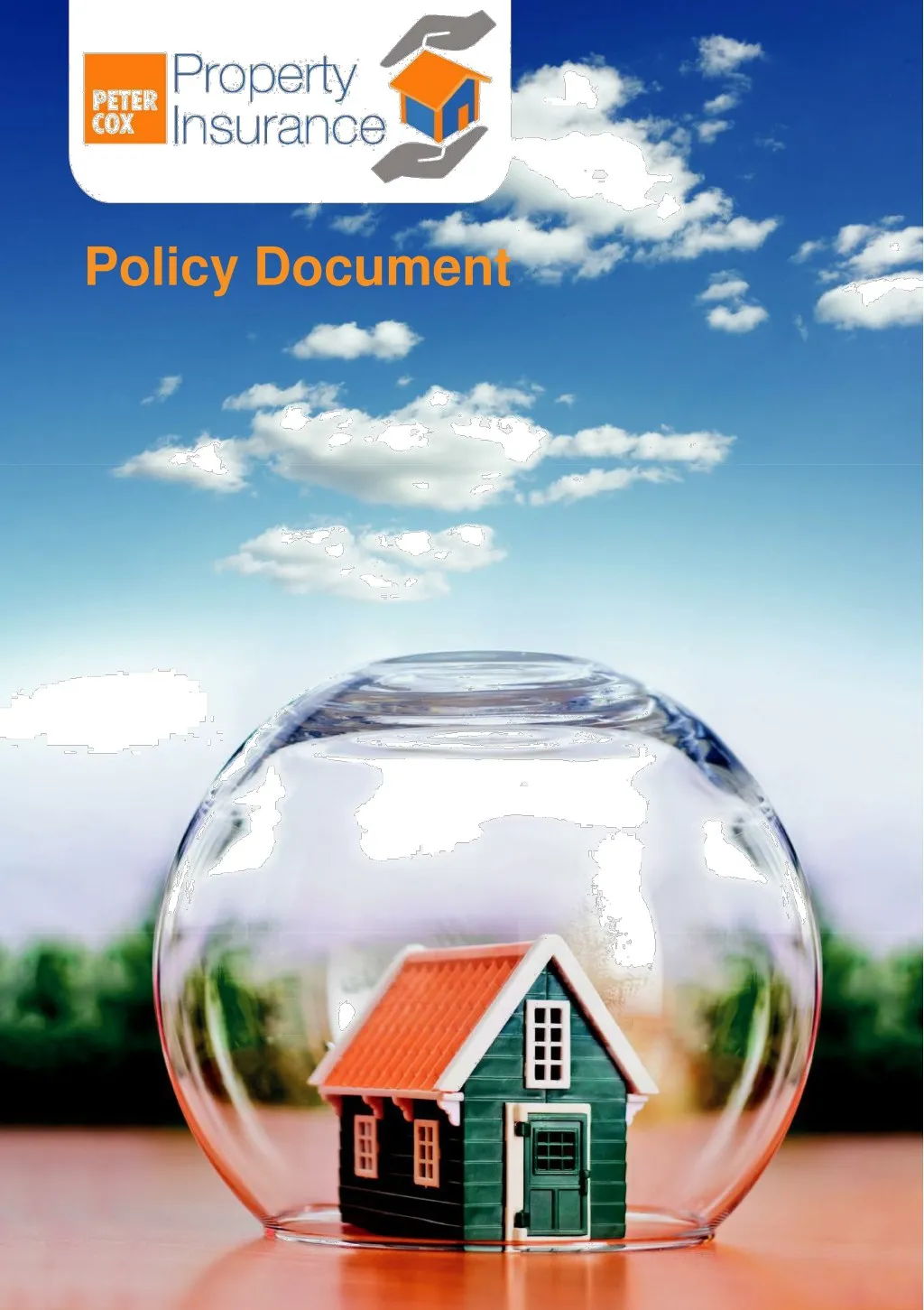 policy document