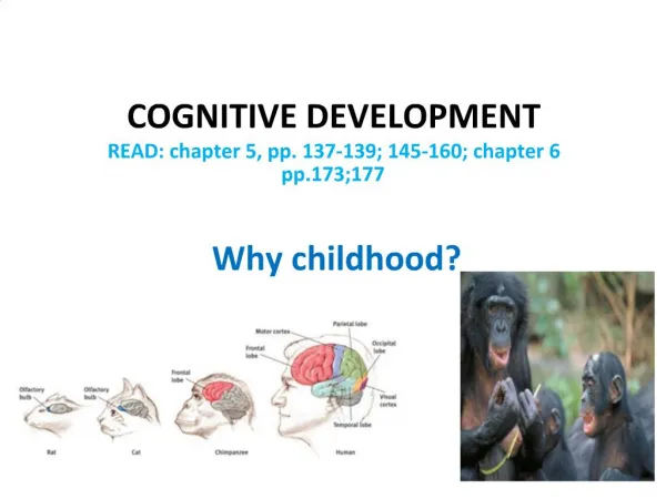 COGNITIVE DEVELOPMENT READ: chapter 5, pp. 137-139; 145-160; chapter 6 pp.173;177 Why childhood