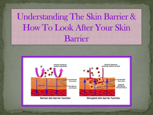 Understanding The Skin Barrier & How To Look After Your Skin Barrier