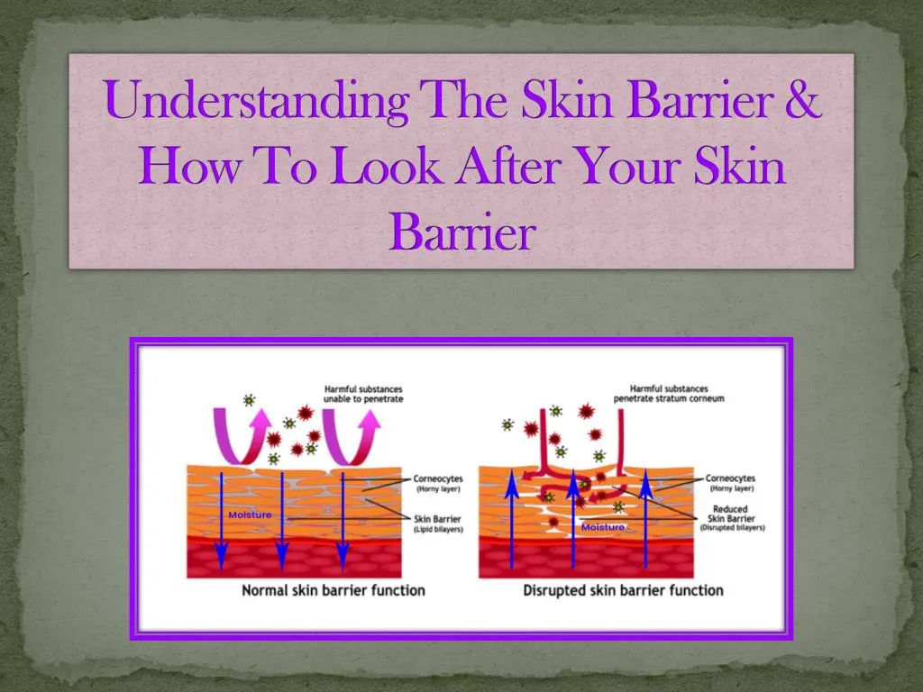 understanding the skin barrier how to look after your skin barrier