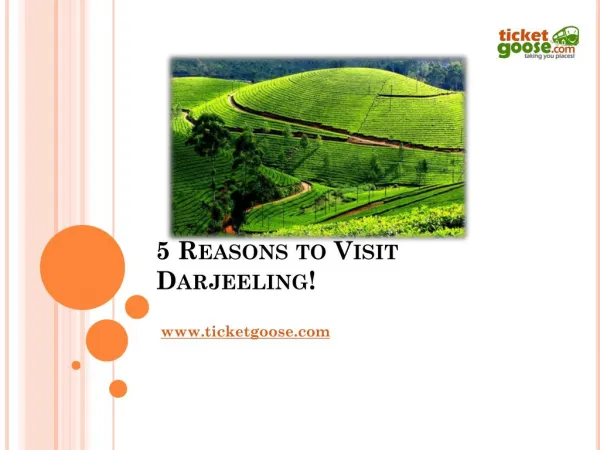5 Reasons to Visit Darjeeling!