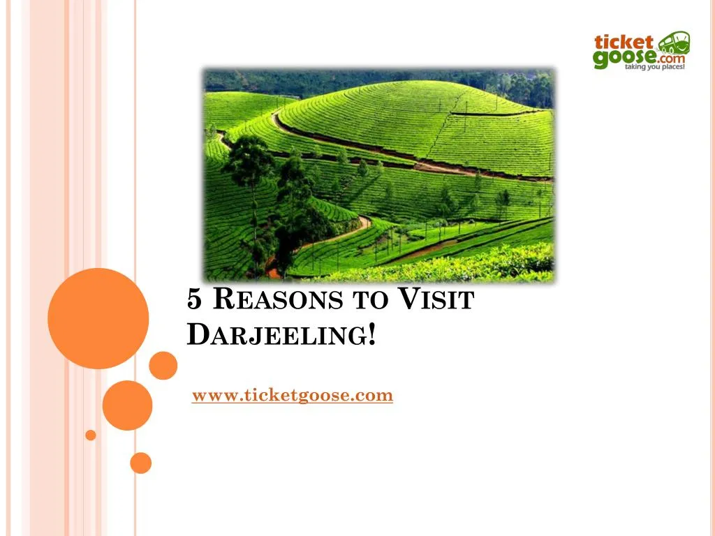 5 reasons to visit darjeeling