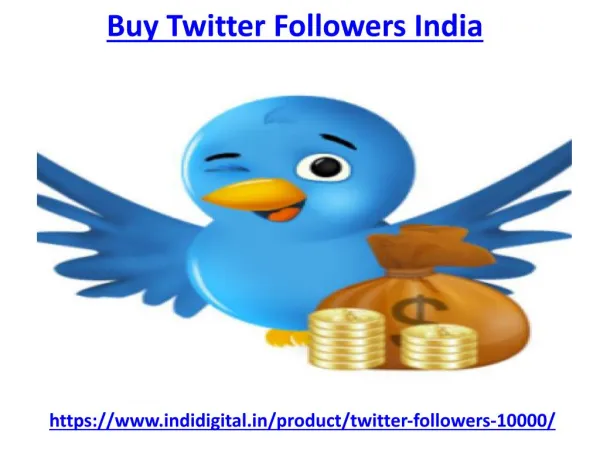 Hire one of the best buy twitter followers India