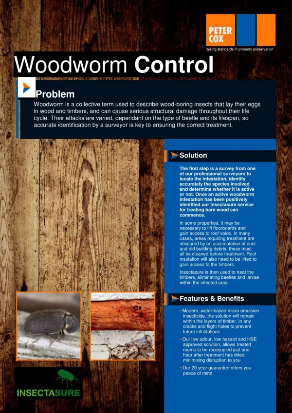 Peter Cox - Woodworm Treatment